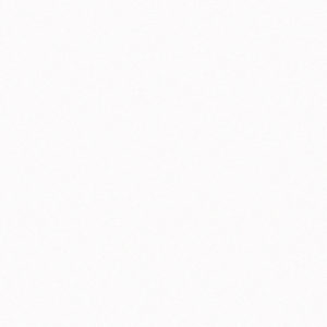 Iconic White