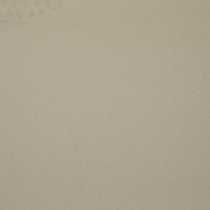 Evening Grey