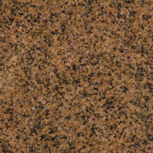Tropical Brown