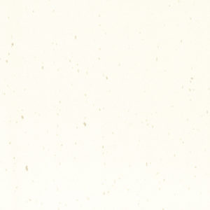 White Jasmine