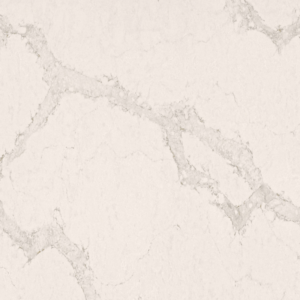 Calacatta Nuvo