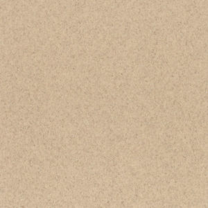 Mojave