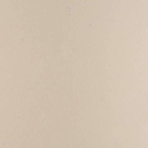 Fossil Taupe