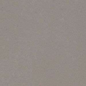 Fossil Gray Matte