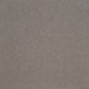 Dove Grey