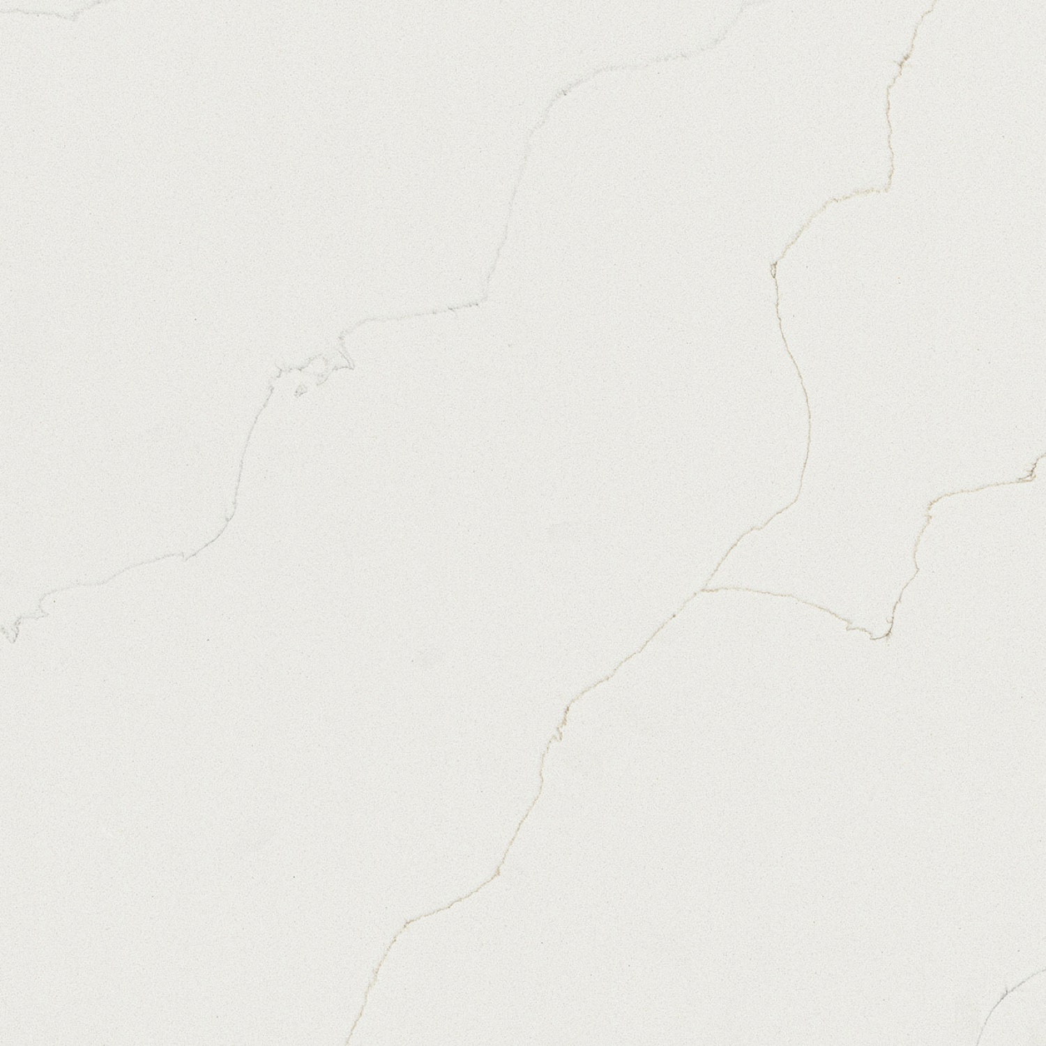 Calacatta Duolina